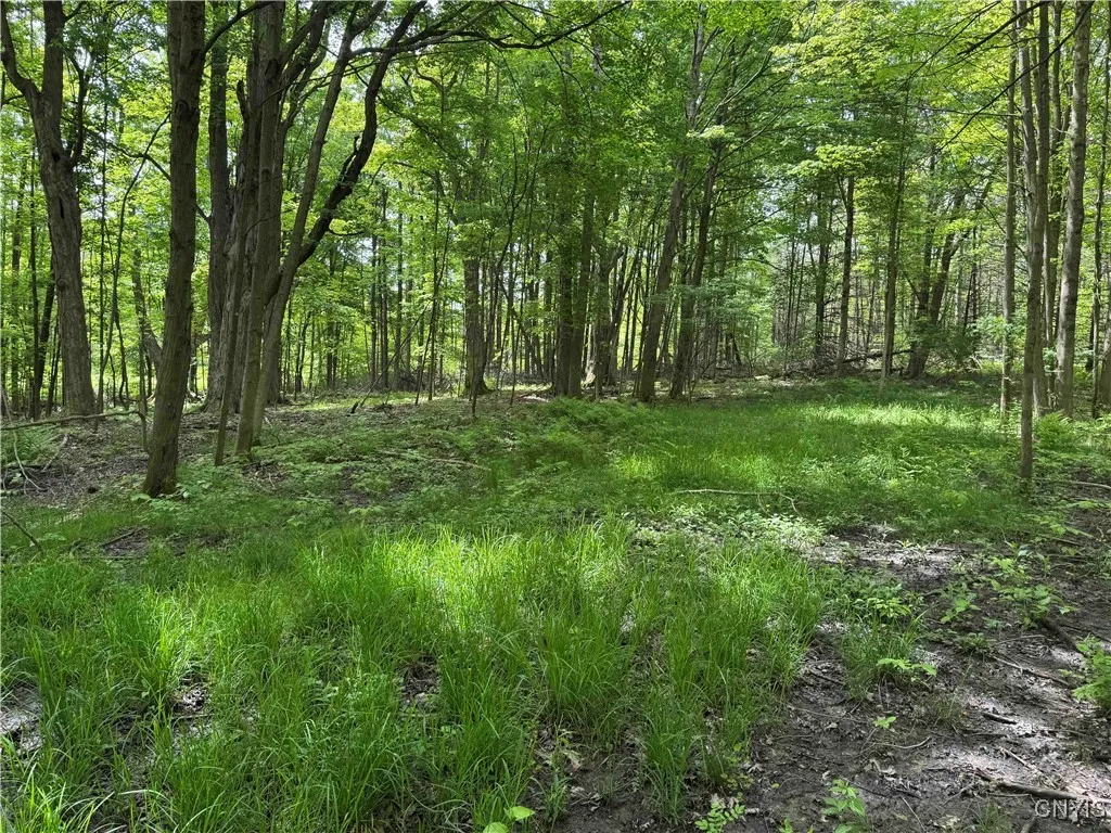 Cr-48, Ellery, New York 14701, Ellery, New York 14701, ,Land,For Sale,Cr-48, Ellery, New York 14701,S1620012
