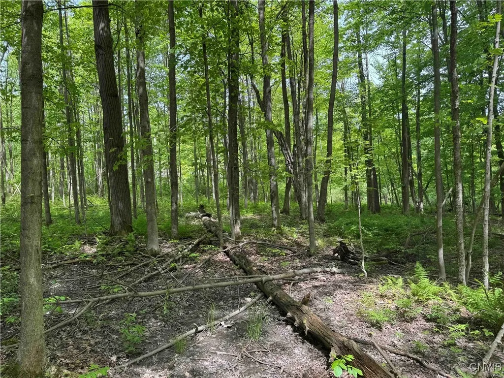 Cr-48, Ellery, New York 14701, Ellery, New York 14701, ,Land,For Sale,Cr-48, Ellery, New York 14701,S1620012