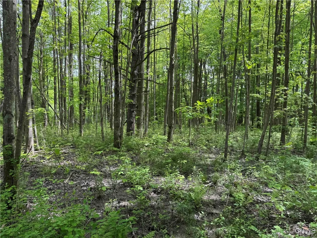 Cr-48, Ellery, New York 14701, Ellery, New York 14701, ,Land,For Sale,Cr-48, Ellery, New York 14701,S1620012