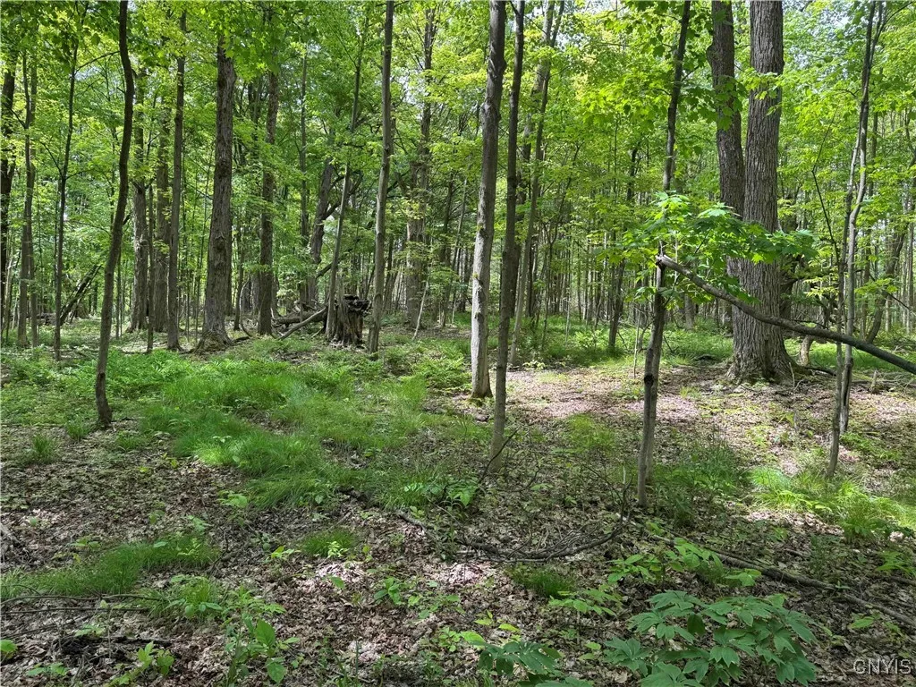 Cr-48, Ellery, New York 14701, Ellery, New York 14701, ,Land,For Sale,Cr-48, Ellery, New York 14701,S1620012
