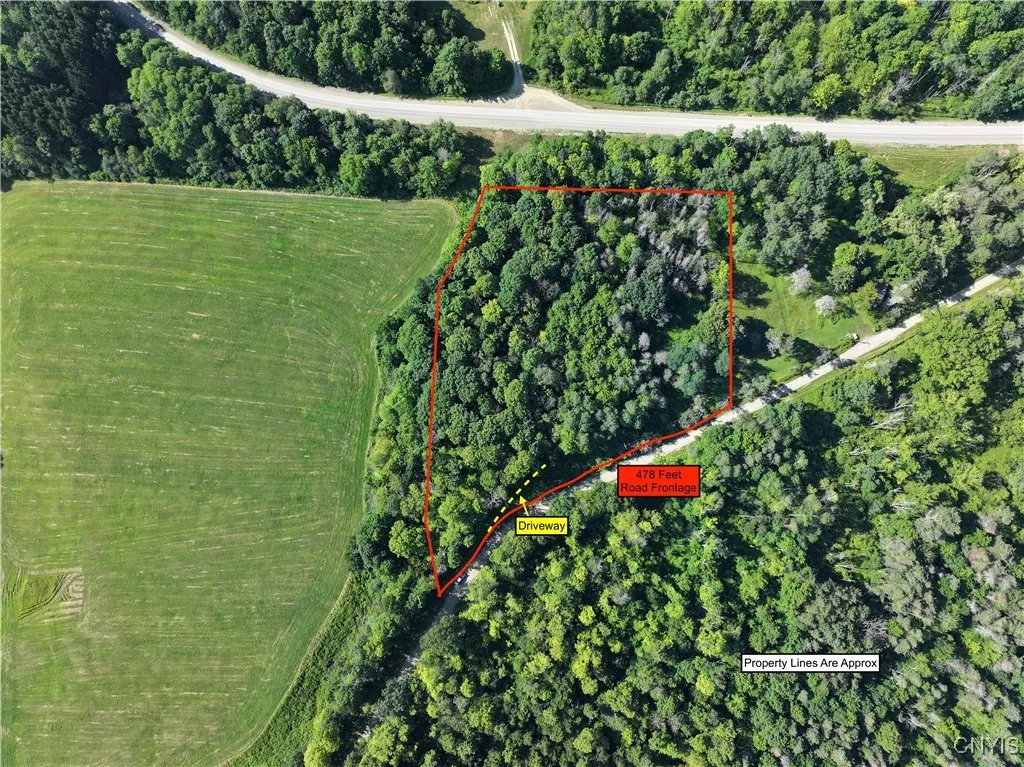 Cr-48, Ellery, New York 14701, Ellery, New York 14701, ,Land,For Sale,Cr-48, Ellery, New York 14701,S1620012