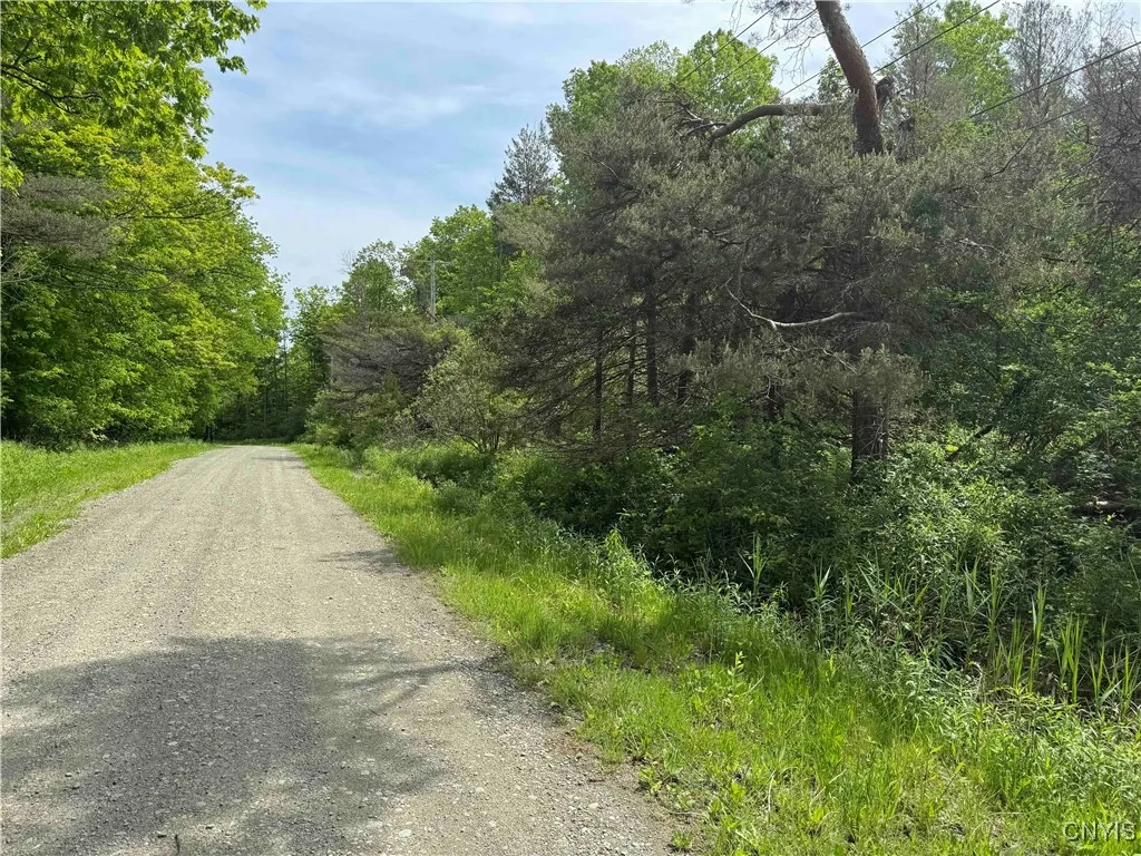 Cr-48, Ellery, New York 14701, Ellery, New York 14701, ,Land,For Sale,Cr-48, Ellery, New York 14701,S1620012