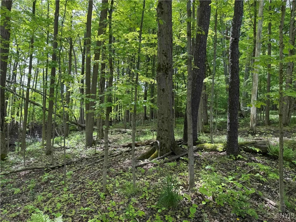 Cr-48, Ellery, New York 14701, Ellery, New York 14701, ,Land,For Sale,Cr-48, Ellery, New York 14701,S1620012