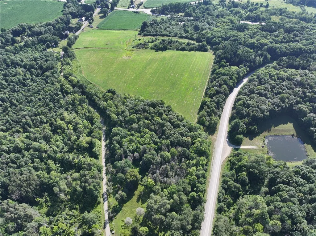 Cr-48, Ellery, New York 14701, Ellery, New York 14701, ,Land,For Sale,Cr-48, Ellery, New York 14701,S1620012