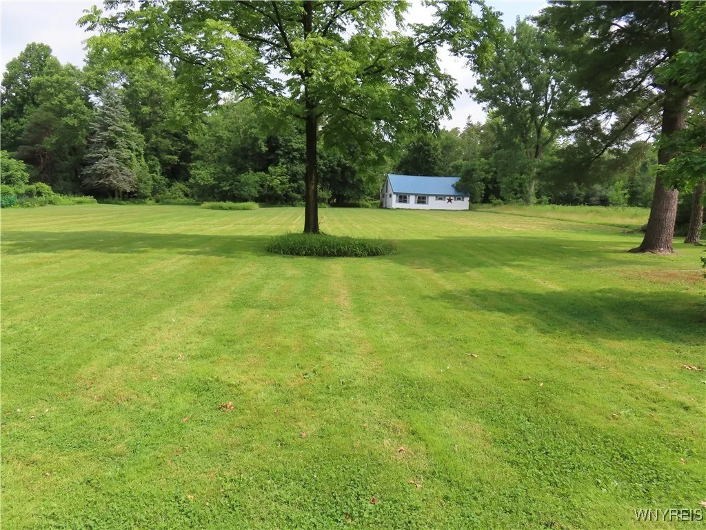 Yard