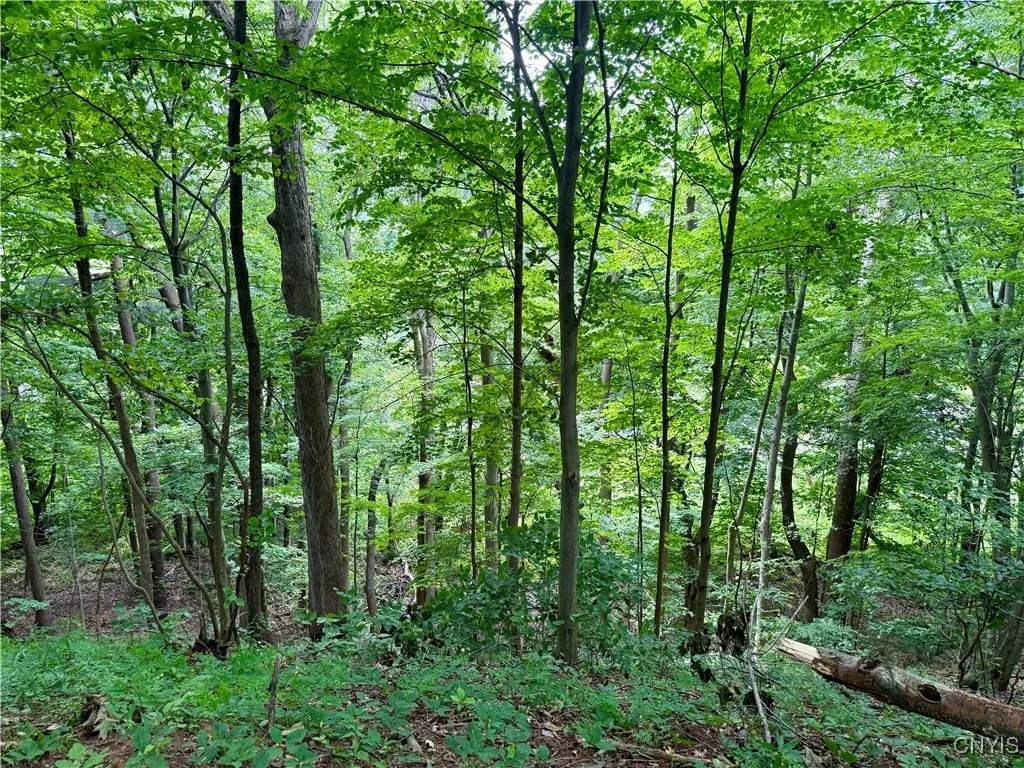 Beck Road, Rome, New York 13308, Rome, New York 13308, ,Land,For Sale,Beck Road, Rome, New York 13308,S1620009