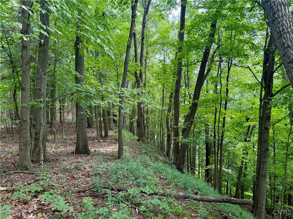 Beck Road, Rome, New York 13308, Rome, New York 13308, ,Land,For Sale,Beck Road, Rome, New York 13308,S1620009