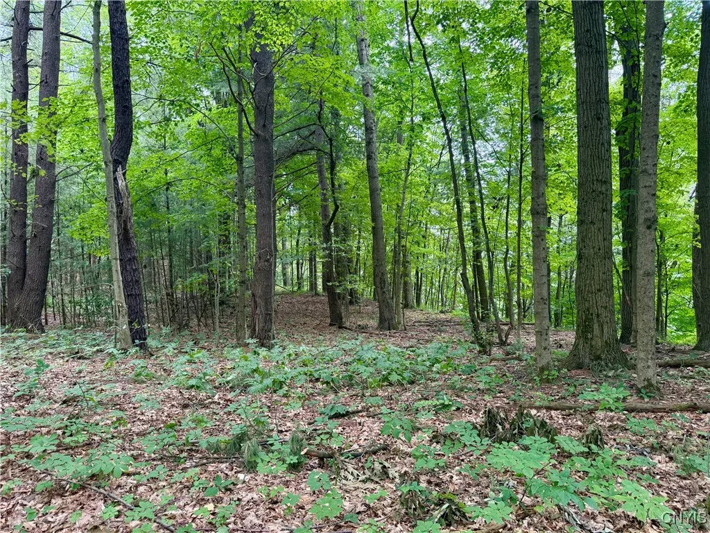 Beck Road, Rome, New York 13308, Rome, New York 13308, ,Land,For Sale,Beck Road, Rome, New York 13308,S1620009