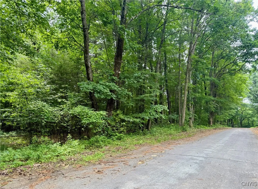 Beck Road, Rome, New York 13308, Rome, New York 13308, ,Land,For Sale,Beck Road, Rome, New York 13308,S1620009