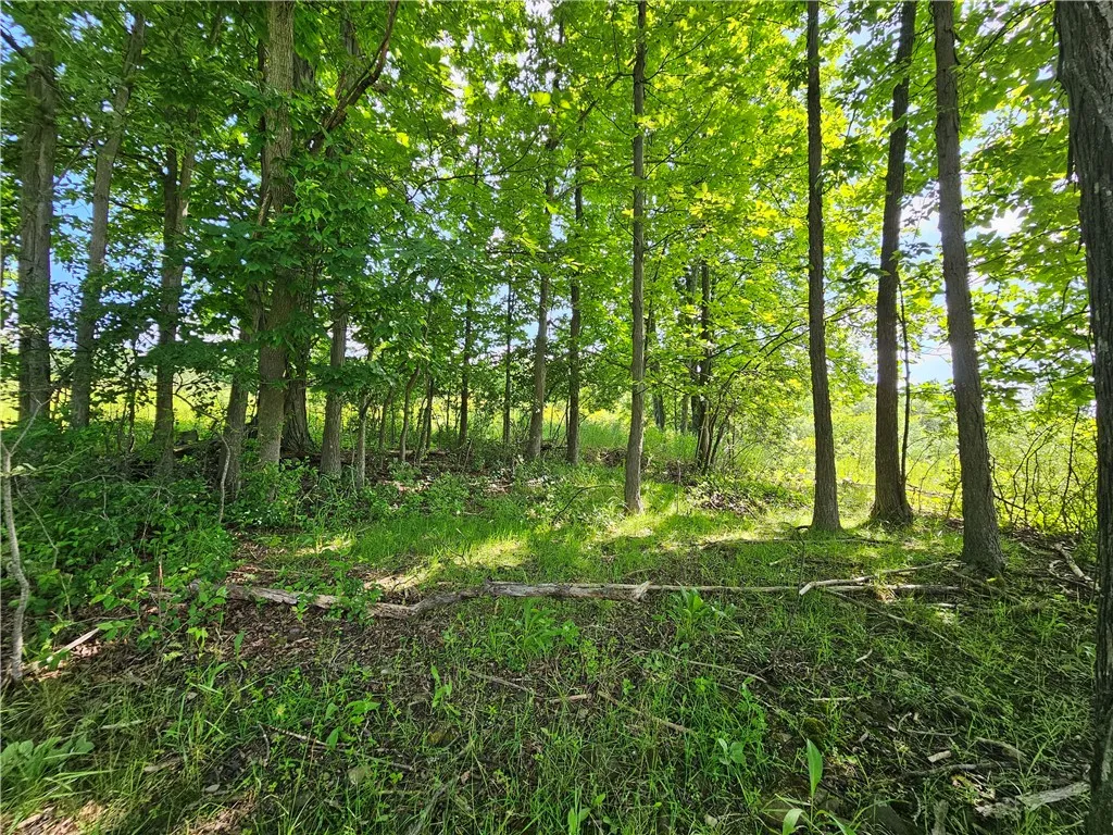 2857 County Route 84, Troupsburg, New York 14885, Troupsburg, New York 14885, 2 Bedrooms Bedrooms, 4 Rooms Rooms,1 BathroomBathrooms,Residential,For Sale,2857 County Route 84, Troupsburg, New York 14885,0,R1618331