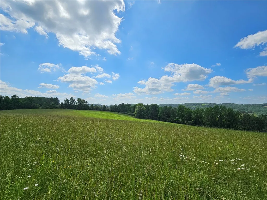 2857 County Route 84, Troupsburg, New York 14885, Troupsburg, New York 14885, 2 Bedrooms Bedrooms, 4 Rooms Rooms,1 BathroomBathrooms,Residential,For Sale,2857 County Route 84, Troupsburg, New York 14885,0,R1618331