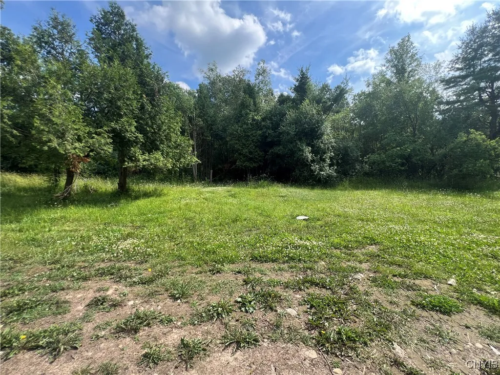 3221 County Route 49, Norfolk, New York 13667, Norfolk, New York 13667, 2 Bedrooms Bedrooms, 5 Rooms Rooms,1 BathroomBathrooms,Residential,For Sale,3221 County Route 49, Norfolk, New York 13667,S1620201