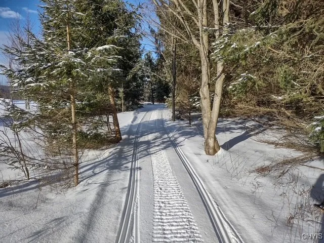 Snowmobile trails