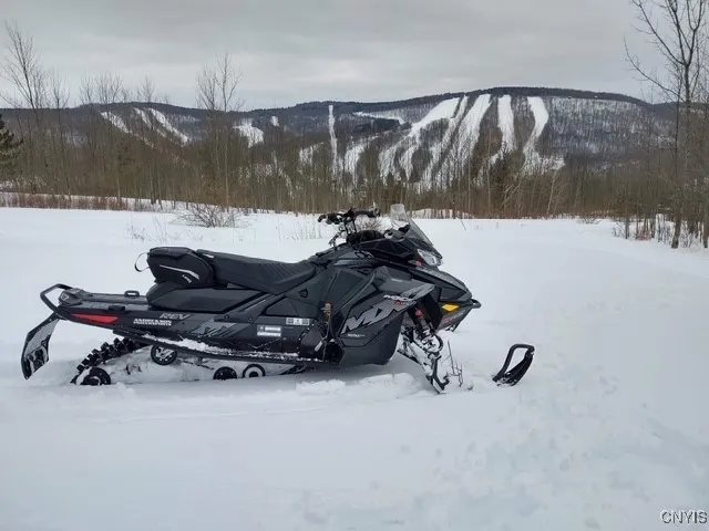 Amazing fun times in the winter!