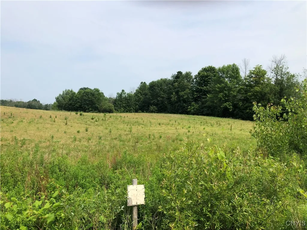 00 Co Rt 53 - Lot #2, Scriba, New York 13126, Scriba, New York 13126, ,Land,For Sale,00 Co Rt 53 - Lot #2, Scriba, New York 13126,S1620636
