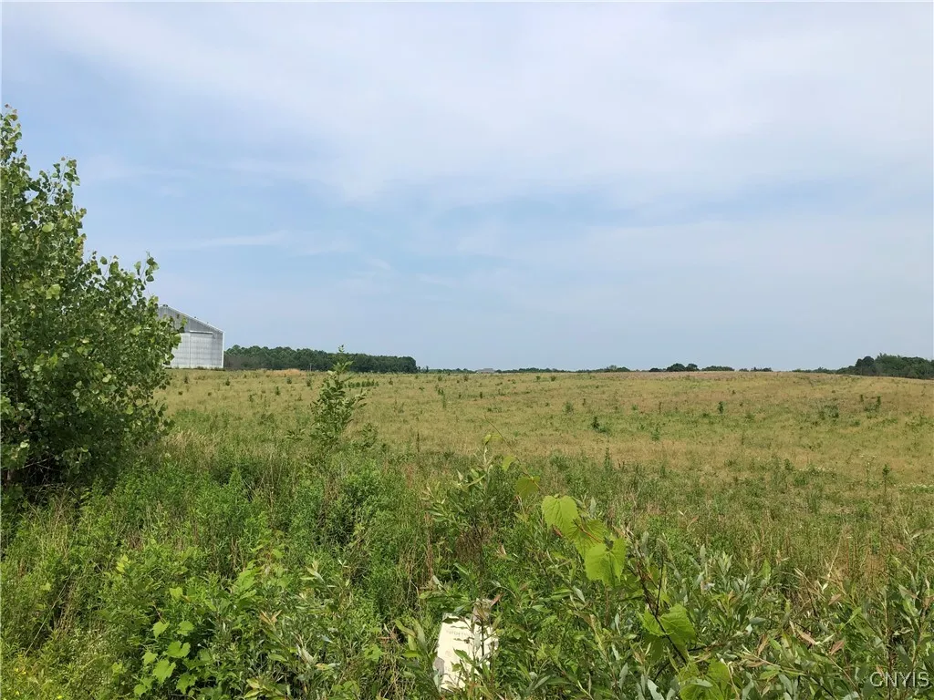 00 Co Rt 53 - Lot #2, Scriba, New York 13126, Scriba, New York 13126, ,Land,For Sale,00 Co Rt 53 - Lot #2, Scriba, New York 13126,S1620636