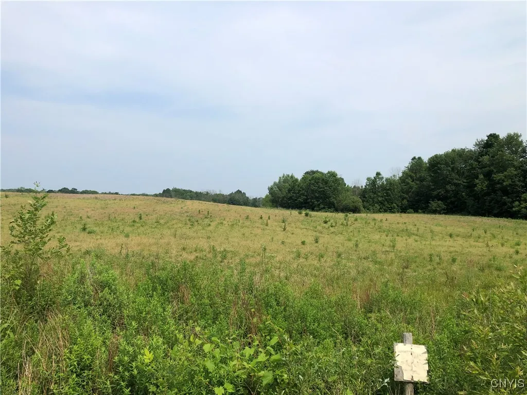 00 Co Rt 53 - Lot #2, Scriba, New York 13126, Scriba, New York 13126, ,Land,For Sale,00 Co Rt 53 - Lot #2, Scriba, New York 13126,S1620636