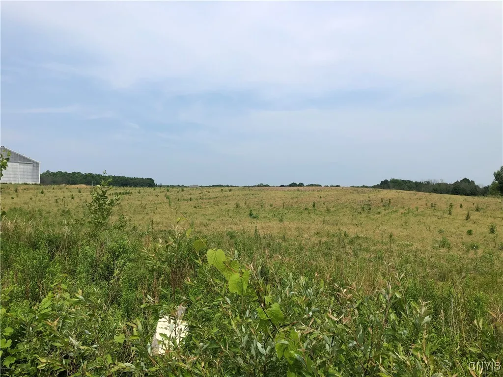 00 Co Rt 53 - Lot #2, Scriba, New York 13126, Scriba, New York 13126, ,Land,For Sale,00 Co Rt 53 - Lot #2, Scriba, New York 13126,S1620636
