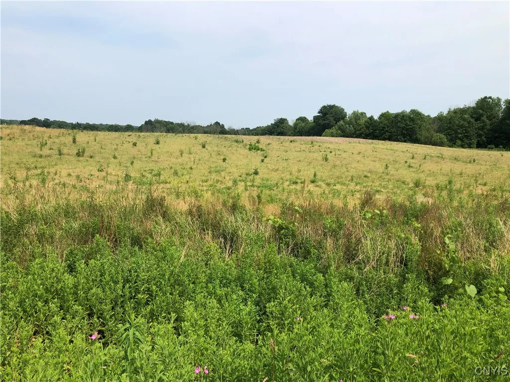 00 Co Rt 53 - Lot #2, Scriba, New York 13126, Scriba, New York 13126, ,Land,For Sale,00 Co Rt 53 - Lot #2, Scriba, New York 13126,S1620636