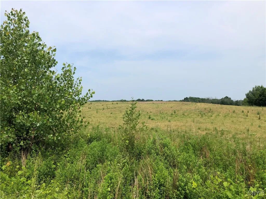 00 Co Rt 53 - Lot #2, Scriba, New York 13126, Scriba, New York 13126, ,Land,For Sale,00 Co Rt 53 - Lot #2, Scriba, New York 13126,S1620636