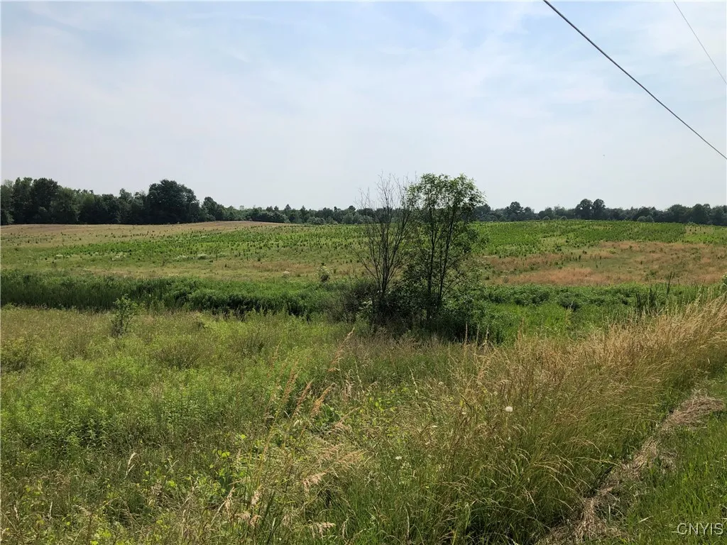 00 Dutch Ridge Rd - Lot #7, Scriba, New York 13126, Scriba, New York 13126, ,Land,For Sale,00 Dutch Ridge Rd - Lot #7, Scriba, New York 13126,S1620637