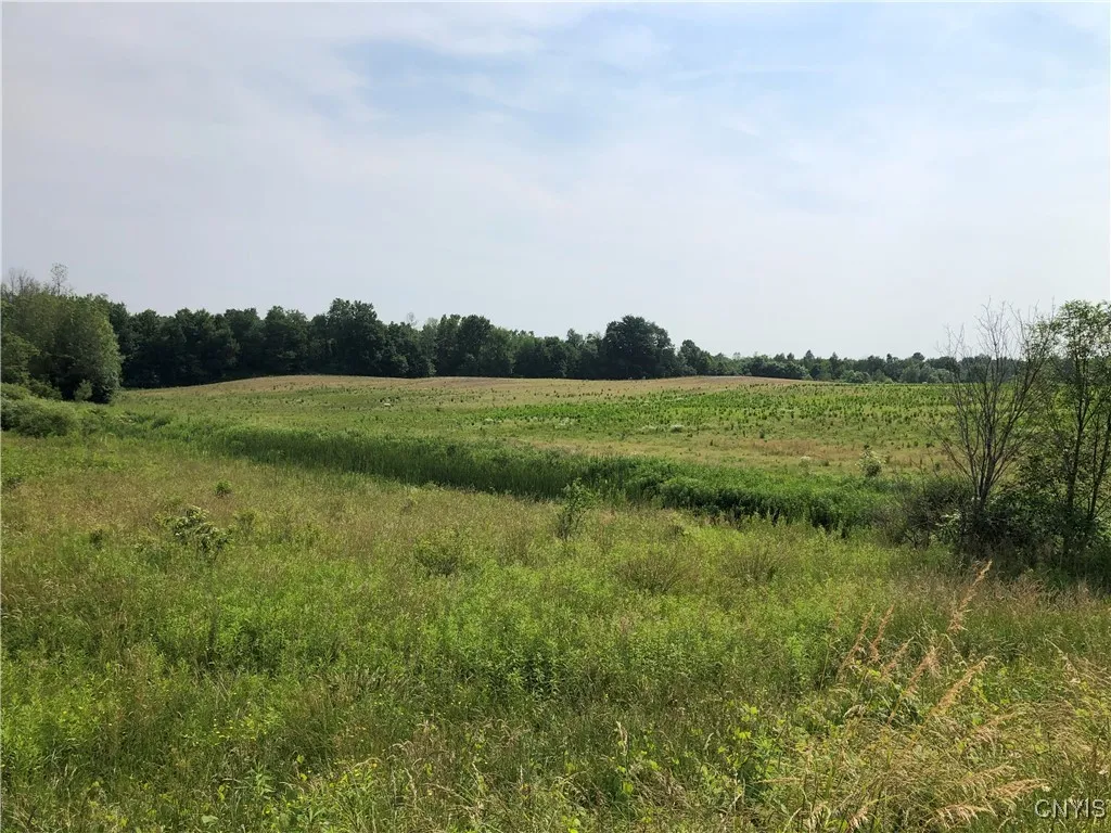 00 Dutch Ridge Rd - Lot #7, Scriba, New York 13126, Scriba, New York 13126, ,Land,For Sale,00 Dutch Ridge Rd - Lot #7, Scriba, New York 13126,S1620637