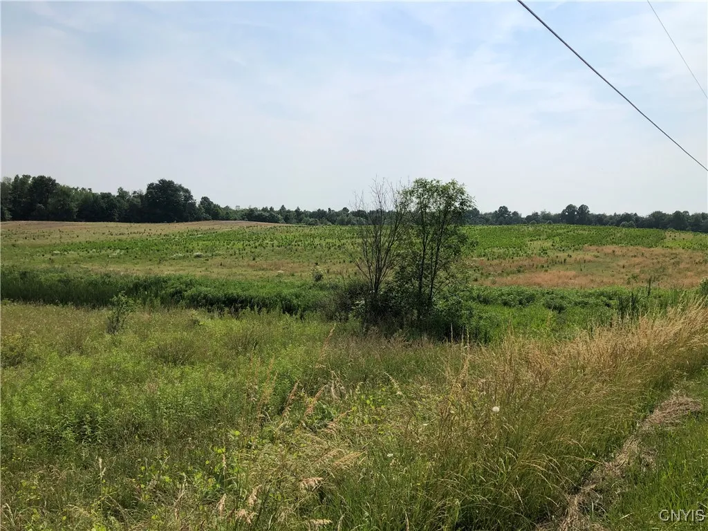 00 Dutch Ridge Rd - Lot #7, Scriba, New York 13126, Scriba, New York 13126, ,Land,For Sale,00 Dutch Ridge Rd - Lot #7, Scriba, New York 13126,S1620637