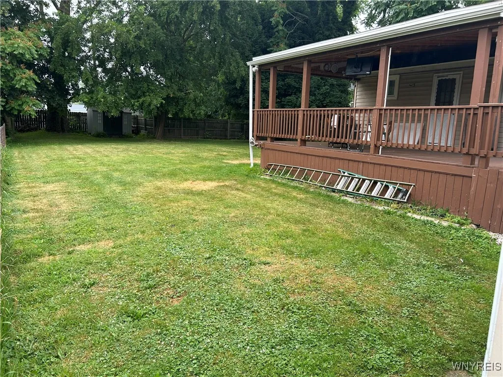 Backyard and Patio