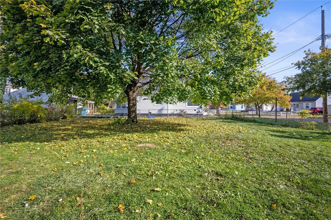 large Backyard