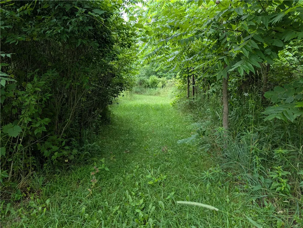 14671 Lime Kiln Road, Barre, New York 14411, Barre, New York 14411, 3 Bedrooms Bedrooms, 5 Rooms Rooms,2 BathroomsBathrooms,Residential,For Sale,14671 Lime Kiln Road, Barre, New York 14411,0,R1620728