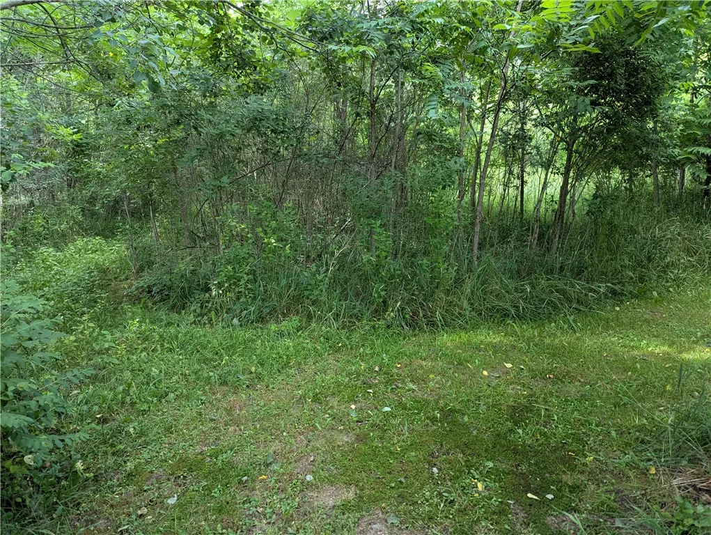 14671 Lime Kiln Road, Barre, New York 14411, Barre, New York 14411, 3 Bedrooms Bedrooms, 5 Rooms Rooms,2 BathroomsBathrooms,Residential,For Sale,14671 Lime Kiln Road, Barre, New York 14411,0,R1620728