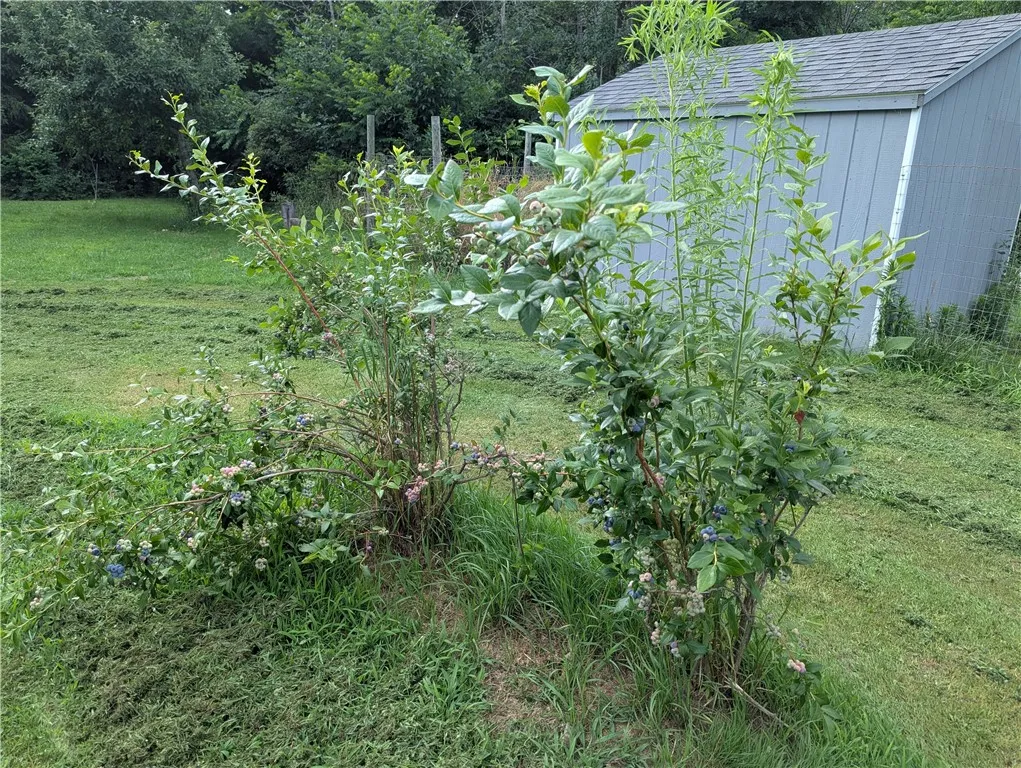 14671 Lime Kiln Road, Barre, New York 14411, Barre, New York 14411, 3 Bedrooms Bedrooms, 5 Rooms Rooms,2 BathroomsBathrooms,Residential,For Sale,14671 Lime Kiln Road, Barre, New York 14411,0,R1620728