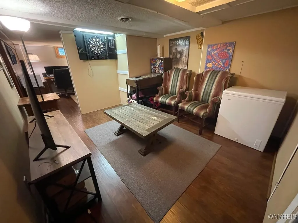 TV rec room basement