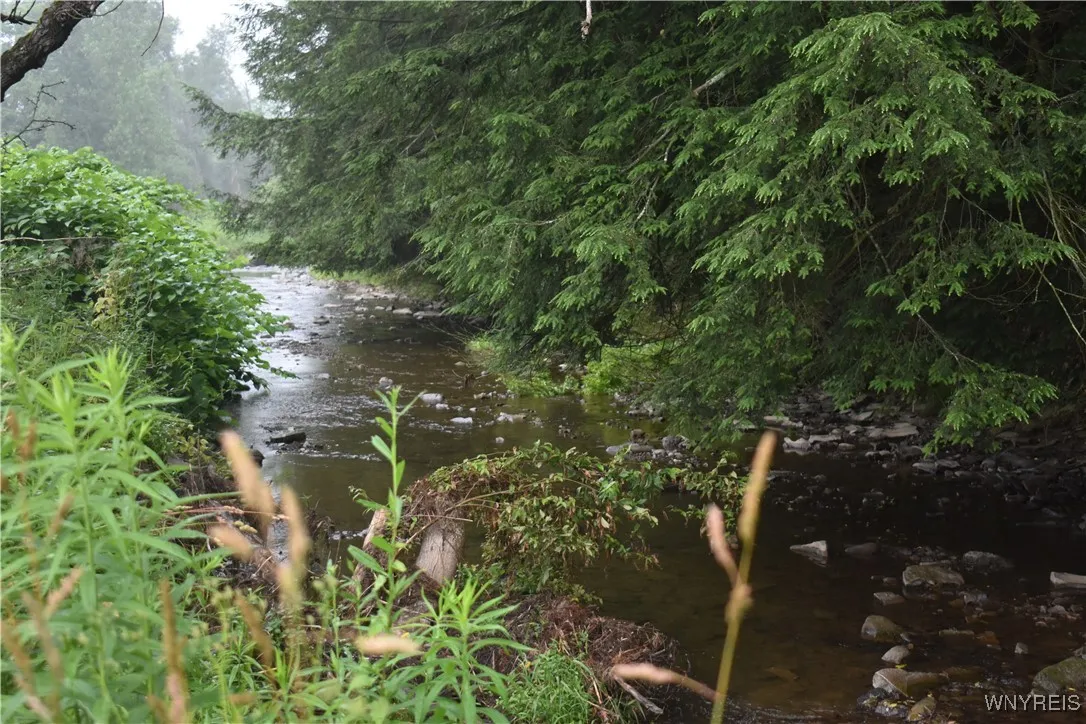 Creek at the back of the property
