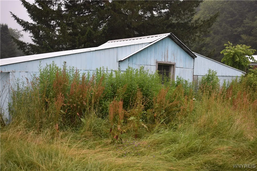 Shed
