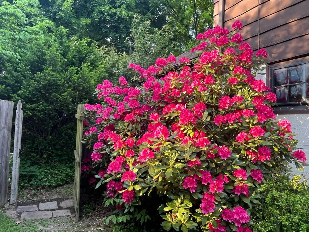 54 Covington Road, Irondequoit, New York 14617, Irondequoit, New York 14617, 3 Bedrooms Bedrooms, 7 Rooms Rooms,1 BathroomBathrooms,Residential,For Sale,54 Covington Road, Irondequoit, New York 14617,R1620591