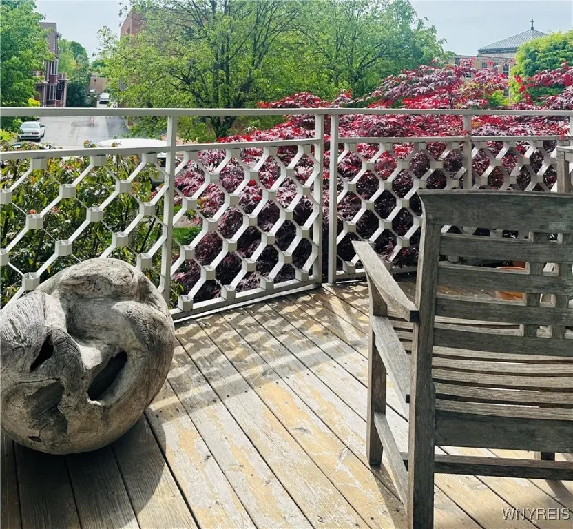 Terrace overlooking Delaware Ave