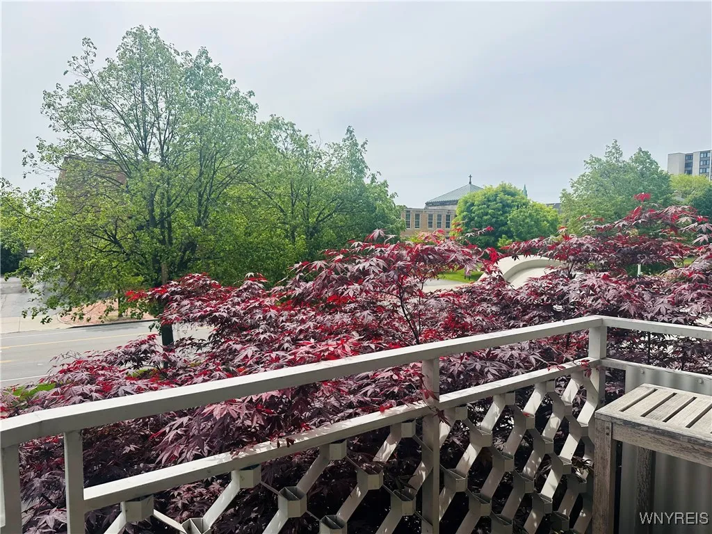 1088 Delaware Avenue 2d, Buffalo, New York 14209, Buffalo, New York 14209, 1 Bedroom Bedrooms, 5 Rooms Rooms,1 BathroomBathrooms,Residential Lease,For Rent,1088 Delaware Avenue 2d, Buffalo, New York 14209,B1616865