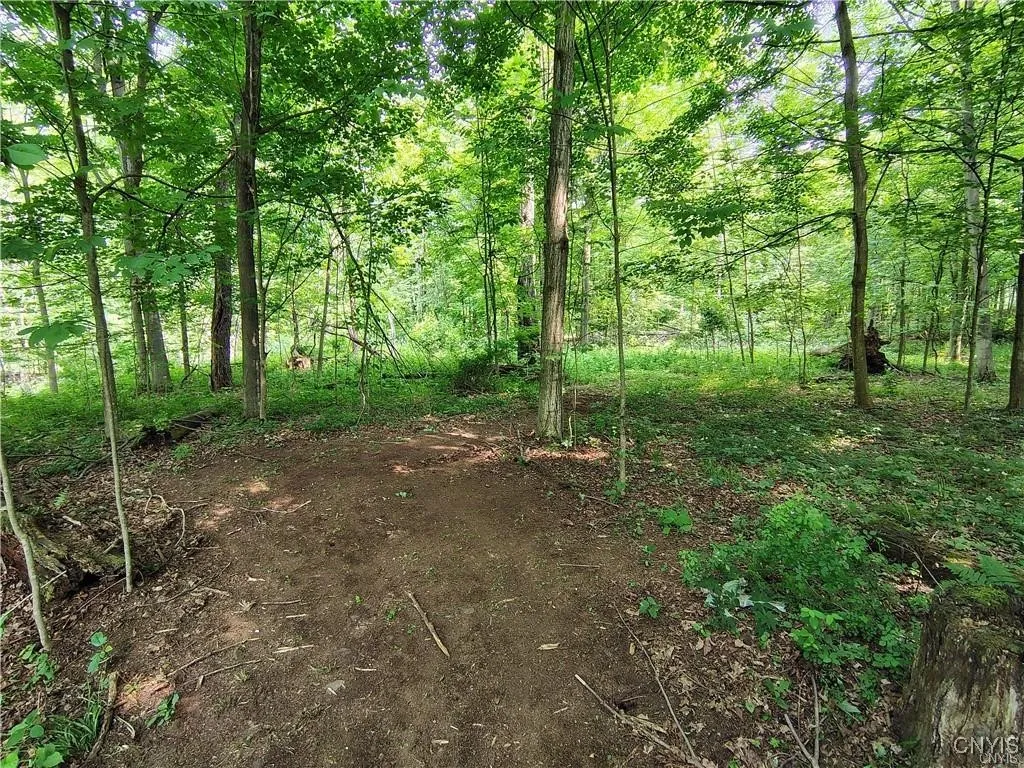 111 Hillview Terrace, Frankfort, New York 13340, Frankfort, New York 13340, 4 Bedrooms Bedrooms, 12 Rooms Rooms,2 BathroomsBathrooms,Residential,For Sale,111 Hillview Terrace, Frankfort, New York 13340,S1620687