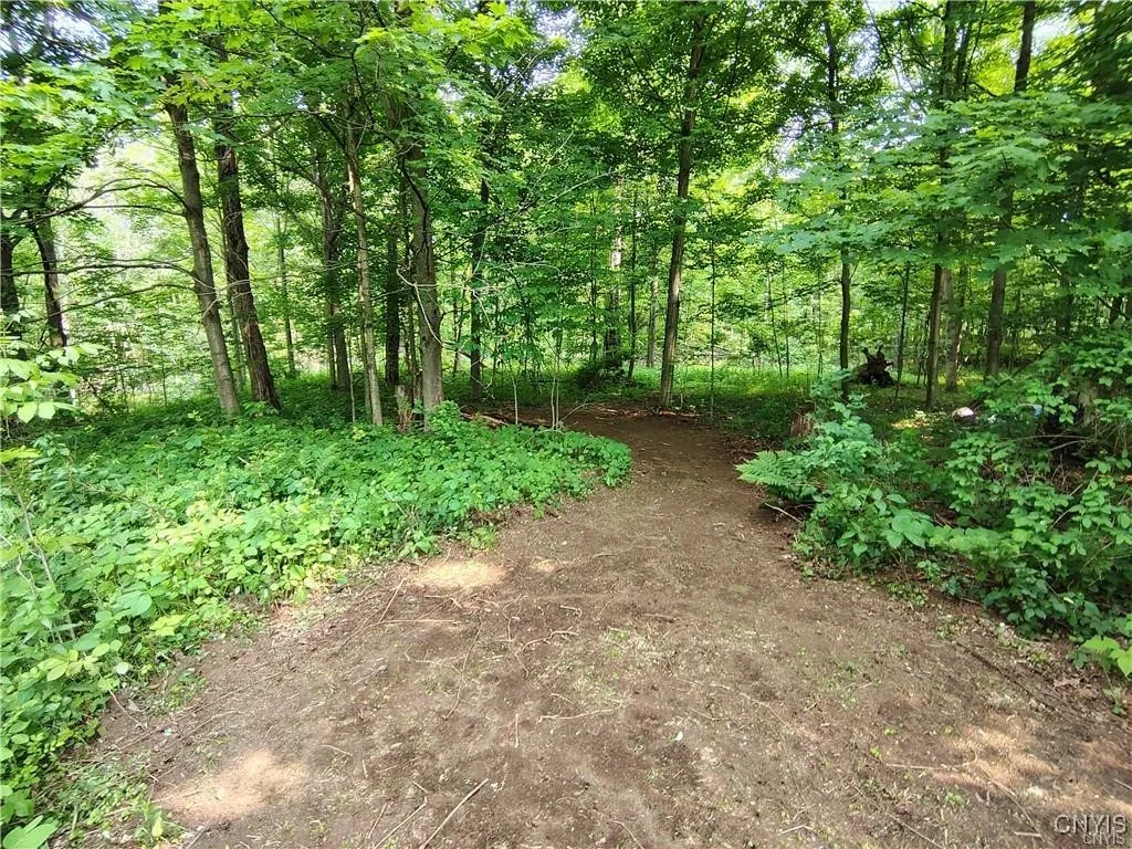 111 Hillview Terrace, Frankfort, New York 13340, Frankfort, New York 13340, 4 Bedrooms Bedrooms, 12 Rooms Rooms,2 BathroomsBathrooms,Residential,For Sale,111 Hillview Terrace, Frankfort, New York 13340,S1620687