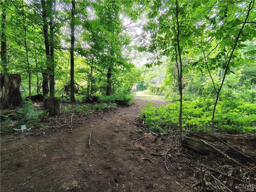 111 Hillview Terrace, Frankfort, New York 13340, Frankfort, New York 13340, 4 Bedrooms Bedrooms, 12 Rooms Rooms,2 BathroomsBathrooms,Residential,For Sale,111 Hillview Terrace, Frankfort, New York 13340,S1620687