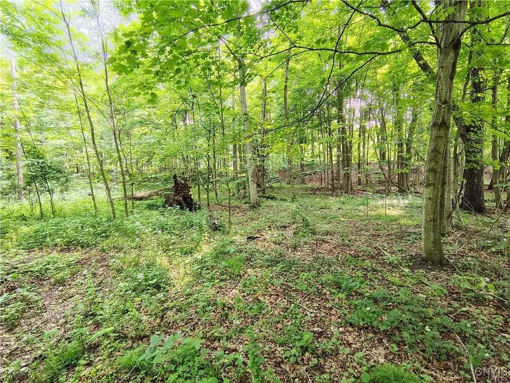 111 Hillview Terrace, Frankfort, New York 13340, Frankfort, New York 13340, 4 Bedrooms Bedrooms, 12 Rooms Rooms,2 BathroomsBathrooms,Residential,For Sale,111 Hillview Terrace, Frankfort, New York 13340,S1620687
