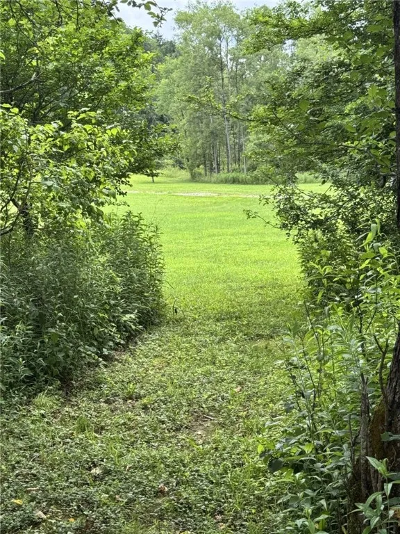 179 White Hollow Road, Norwich, Pennsylvania 16749, Norwich, Pennsylvania 16749, ,Land,For Sale,179 White Hollow Road, Norwich, Pennsylvania 16749,R1621064