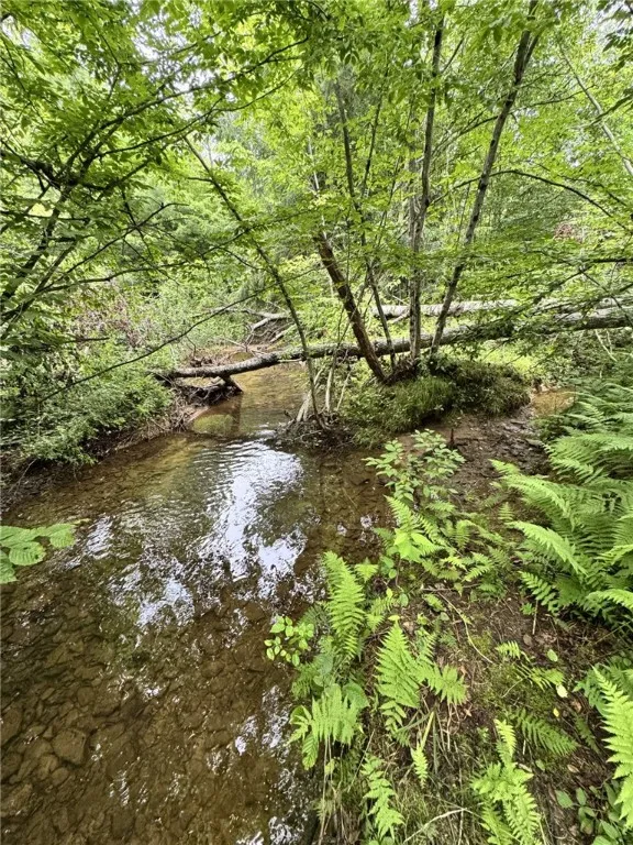179 White Hollow Road, Norwich, Pennsylvania 16749, Norwich, Pennsylvania 16749, ,Land,For Sale,179 White Hollow Road, Norwich, Pennsylvania 16749,R1621064