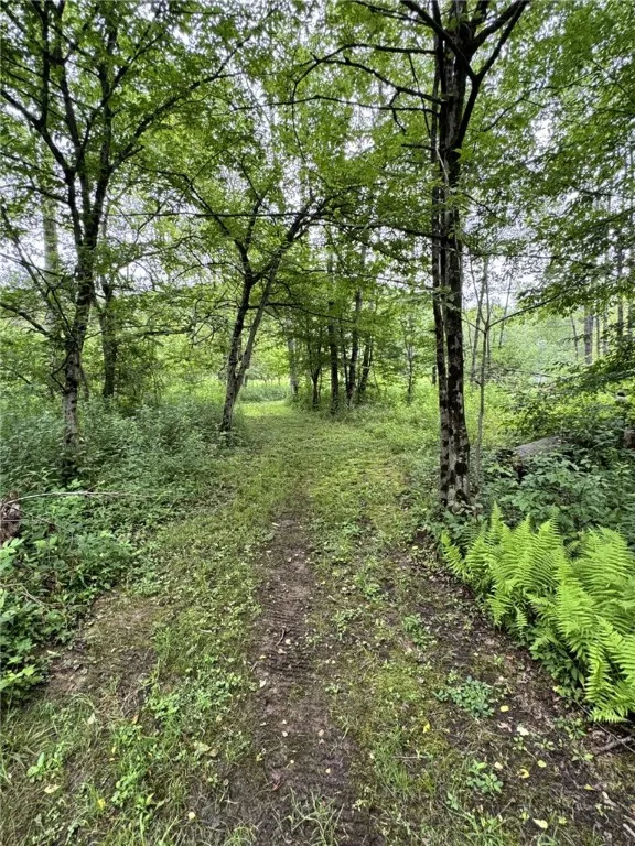 179 White Hollow Road, Norwich, Pennsylvania 16749, Norwich, Pennsylvania 16749, ,Land,For Sale,179 White Hollow Road, Norwich, Pennsylvania 16749,R1621064