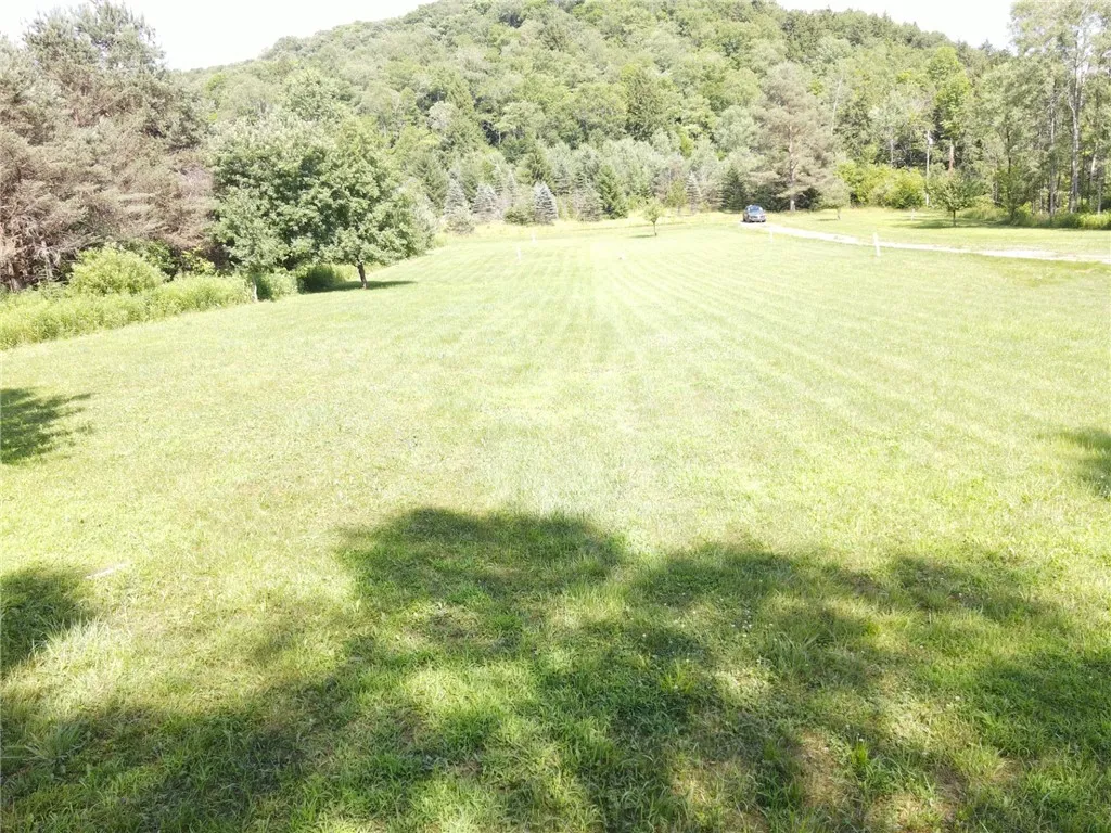 179 White Hollow Road, Norwich, Pennsylvania 16749, Norwich, Pennsylvania 16749, ,Land,For Sale,179 White Hollow Road, Norwich, Pennsylvania 16749,R1621064