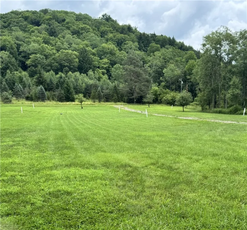 179 White Hollow Road, Norwich, Pennsylvania 16749, Norwich, Pennsylvania 16749, ,Land,For Sale,179 White Hollow Road, Norwich, Pennsylvania 16749,R1621064
