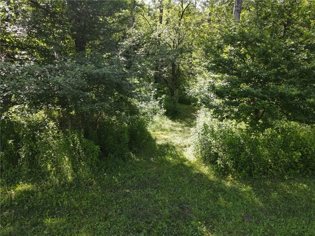179 White Hollow Road, Norwich, Pennsylvania 16749, Norwich, Pennsylvania 16749, ,Land,For Sale,179 White Hollow Road, Norwich, Pennsylvania 16749,R1621064