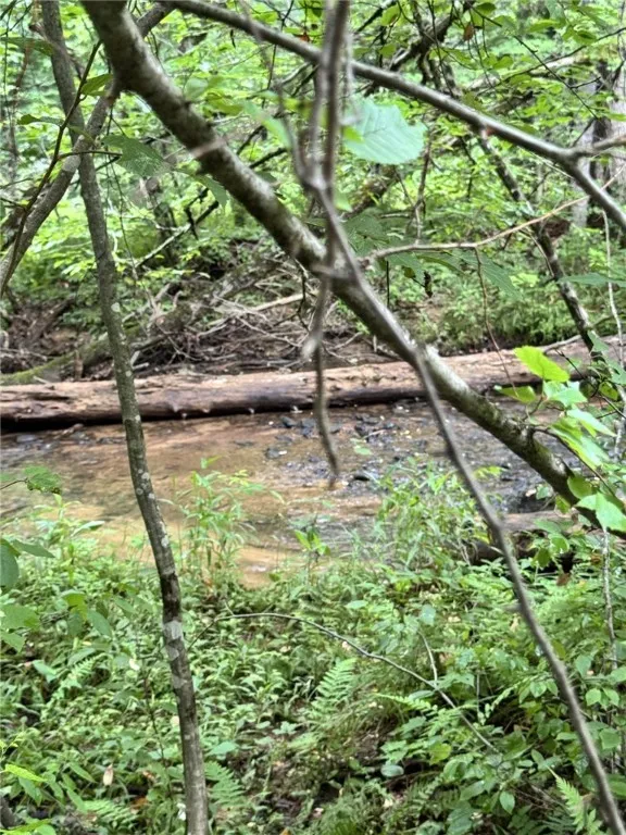 179 White Hollow Road, Norwich, Pennsylvania 16749, Norwich, Pennsylvania 16749, ,Land,For Sale,179 White Hollow Road, Norwich, Pennsylvania 16749,R1621064