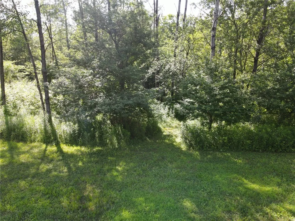 179 White Hollow Road, Norwich, Pennsylvania 16749, Norwich, Pennsylvania 16749, ,Land,For Sale,179 White Hollow Road, Norwich, Pennsylvania 16749,R1621064